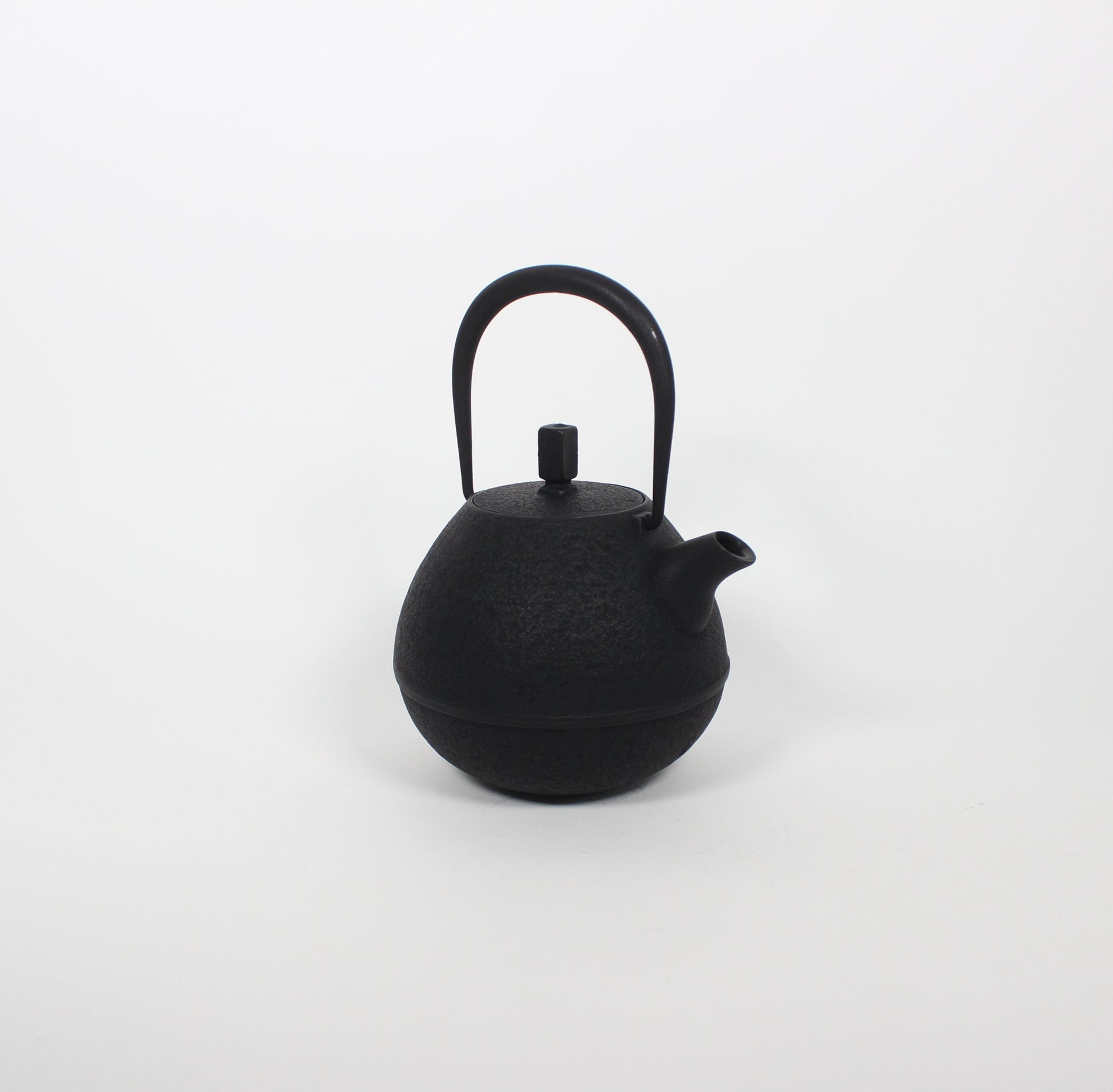 Japanese Nambu Tekki &quot;Egg&quot; Kyusu Tea Pot, Medium