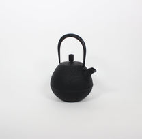 Japanese Nambu Tekki &quot;Egg&quot; Kyusu Tea Pot, Medium
