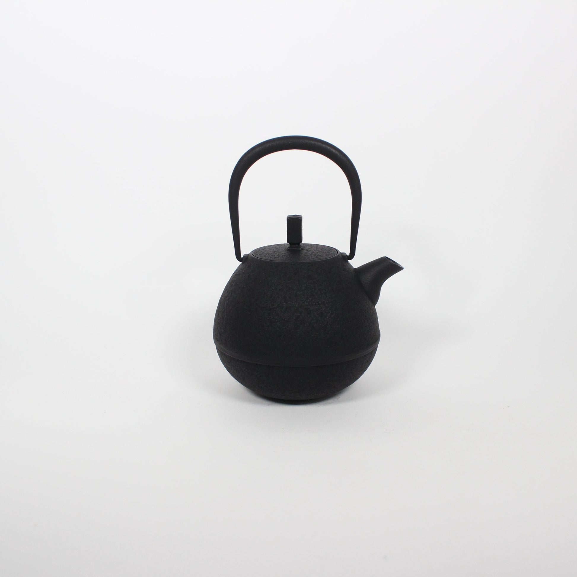 Japanese Nambu Tekki &quot;Egg&quot; Kyusu Tea Pot, Medium