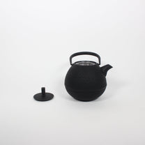 Japanese Nambu Tekki &quot;Egg&quot; Kyusu Tea Pot, Medium