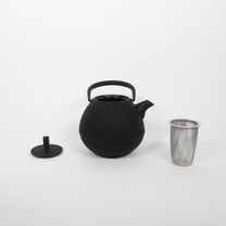 Japanese Nambu Tekki &quot;Egg&quot; Kyusu Tea Pot, Medium