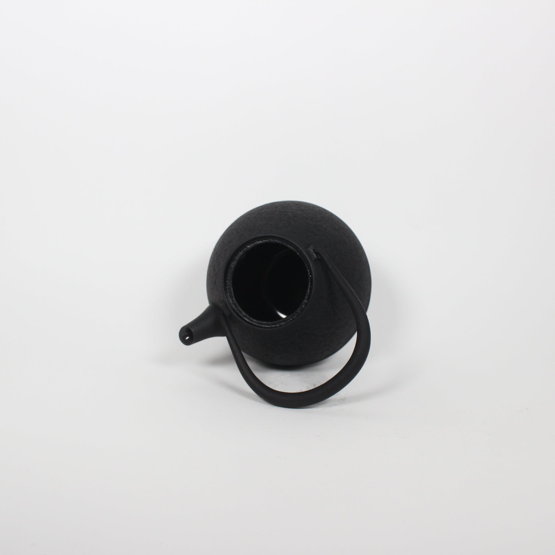Japanese Nambu Tekki &quot;Egg&quot; Kyusu Tea Pot, Medium