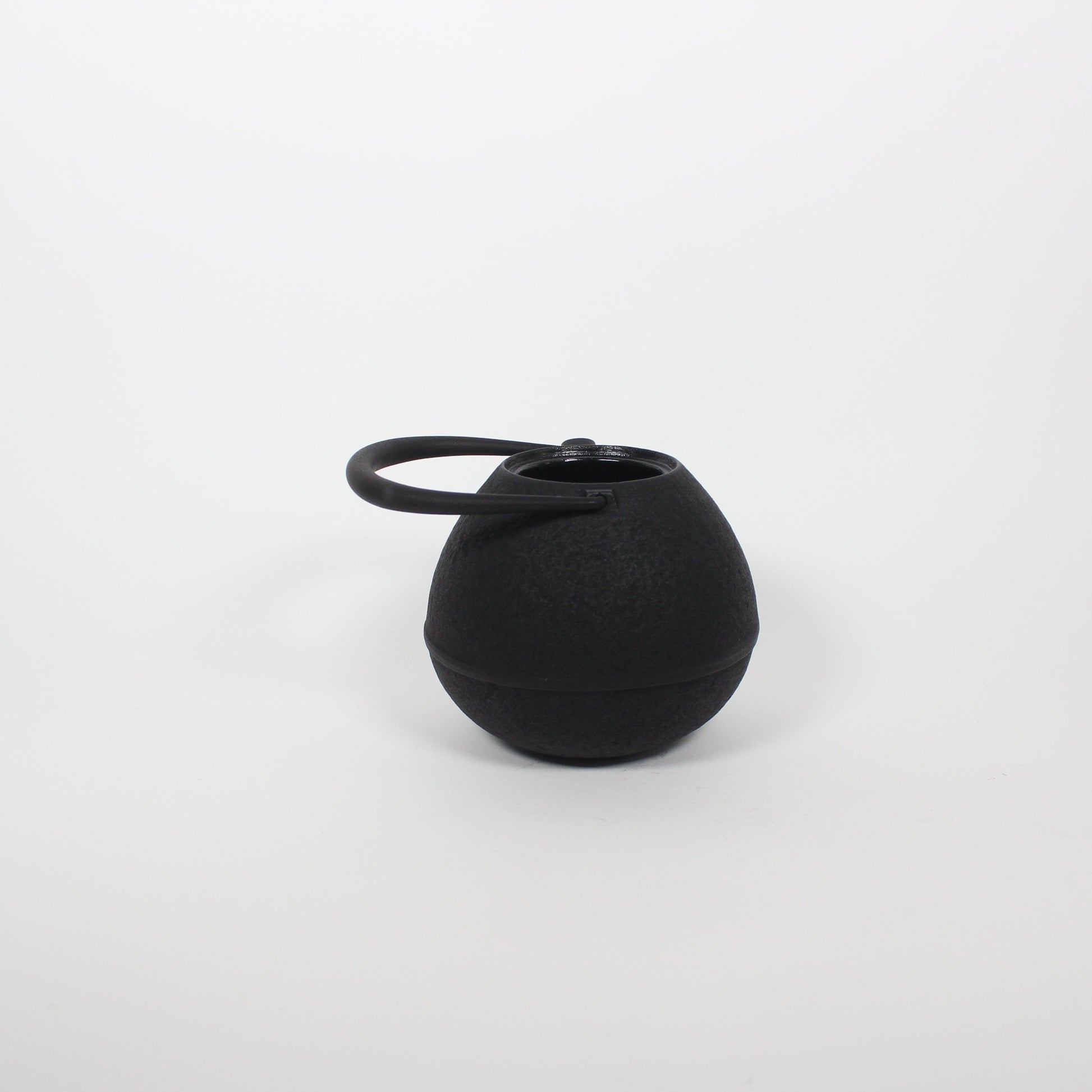 Japanese Nambu Tekki &quot;Egg&quot; Kyusu Tea Pot, Medium
