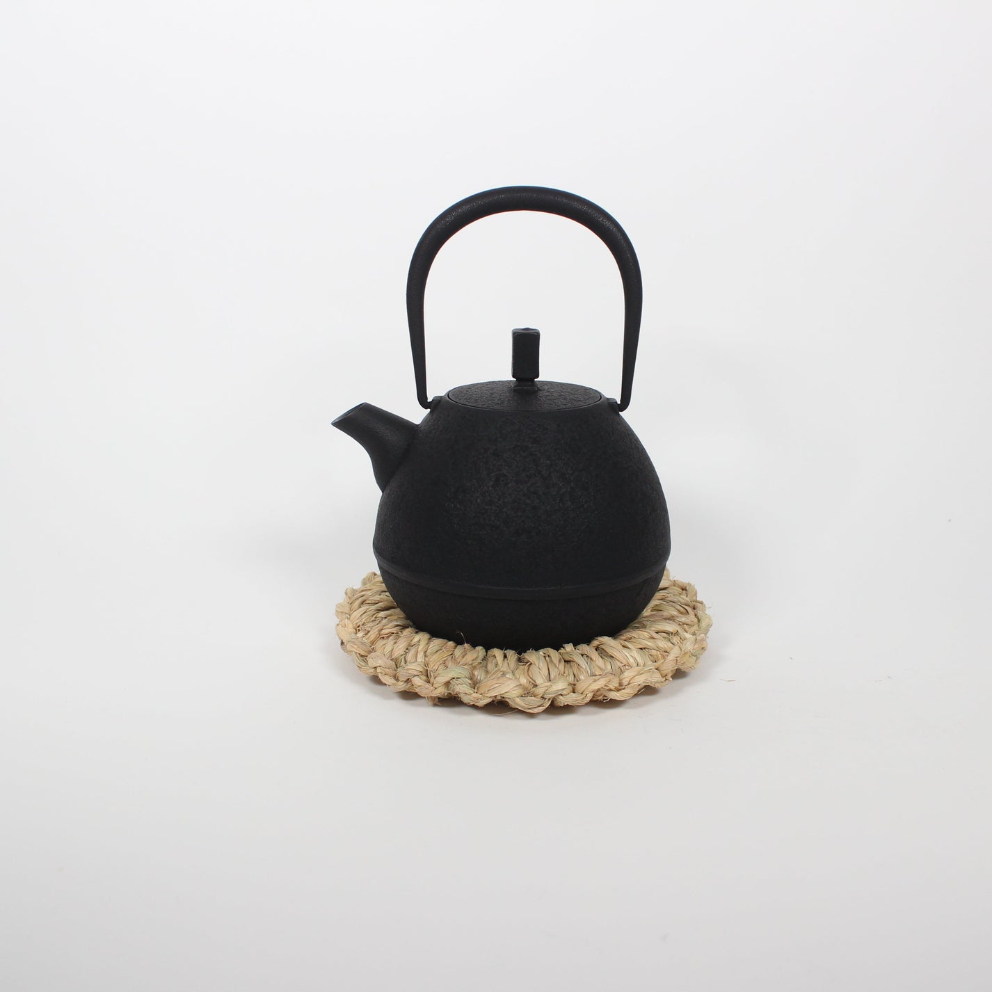 Japanese Nambu Tekki &quot;Egg&quot; Kyusu Tea Pot, Medium