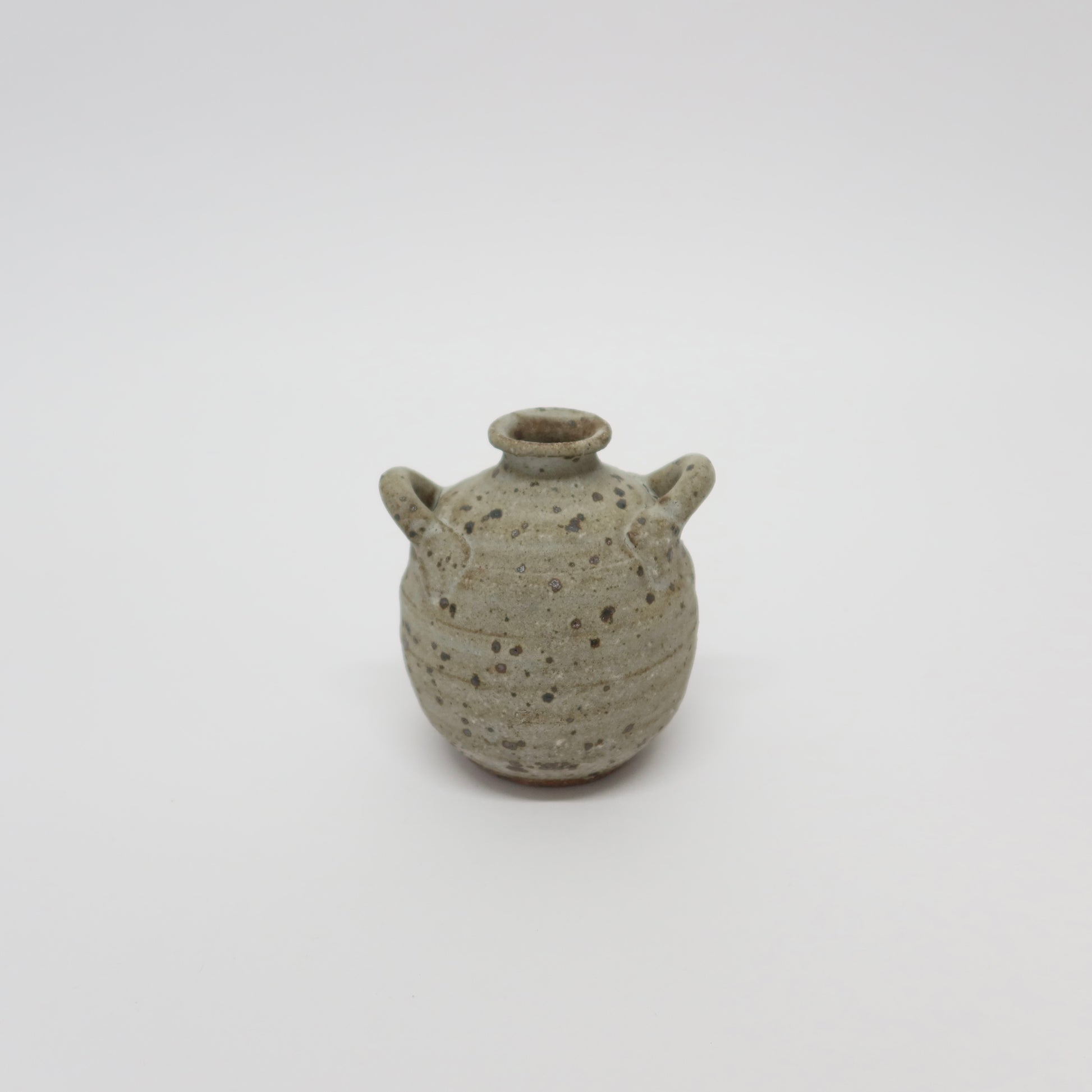 Japanese Shigaraki Ware Pottery Vase with Handles
