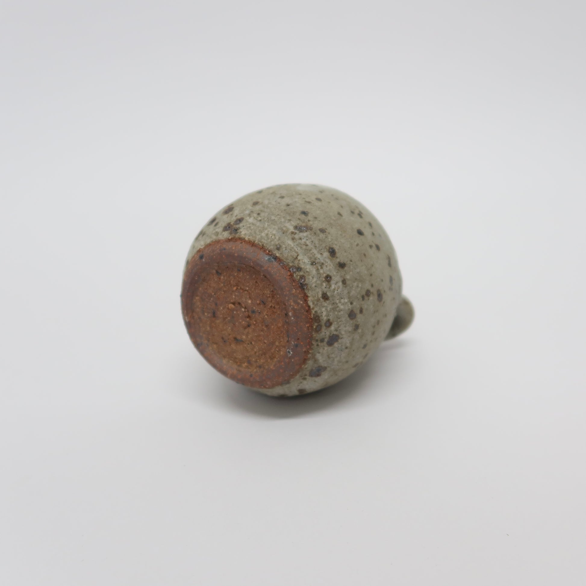Japanese Shigaraki Ware Pottery Vase with Handles