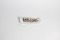 Ceramic leafy incense burner