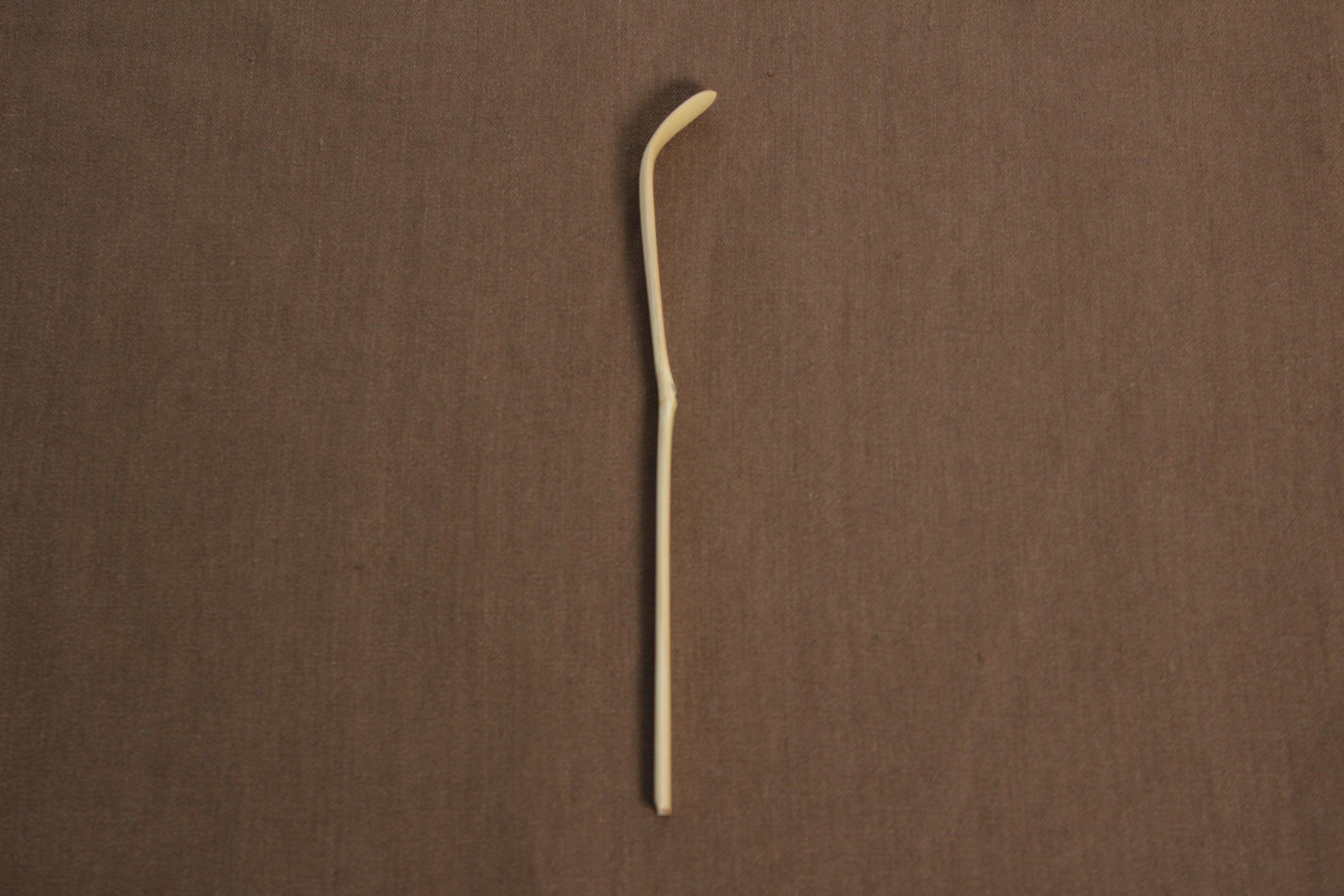 Japanese Shiratake Nakabushi white bamboo chashaku