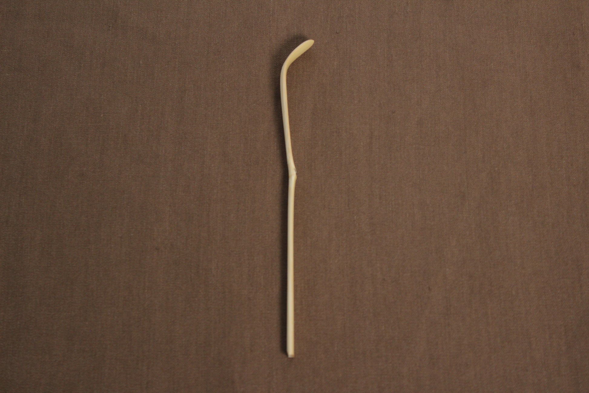 Japanese Shiratake Nakabushi white bamboo chashaku