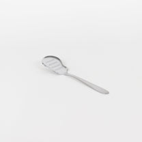 Japanese Stainless Steel Ginger Grater Tea Spoon