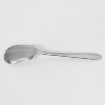 Japanese Stainless Steel Ginger Grater Tea Spoon