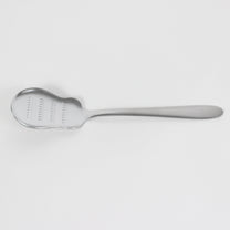 Japanese Stainless Steel Ginger Grater Tea Spoon