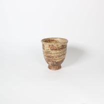 Japanese Shigaraki Yellow Tea Cup