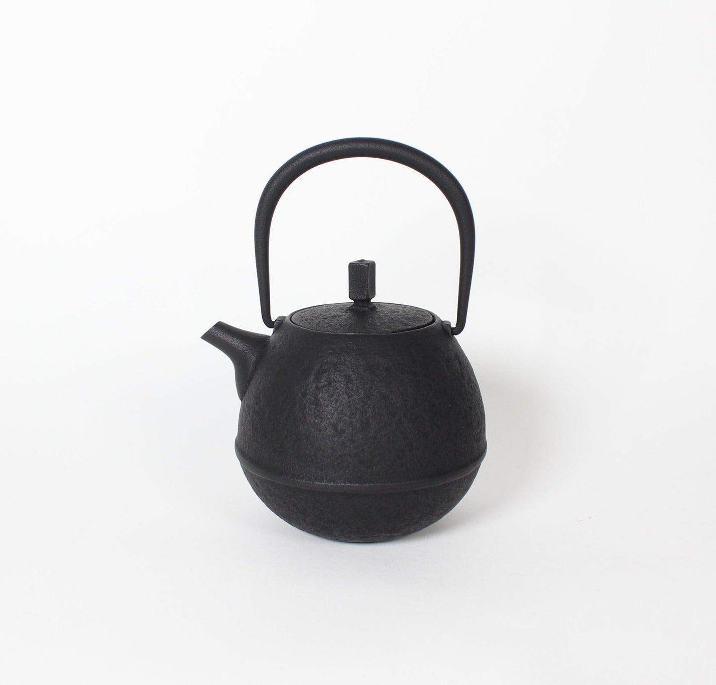 Japanese Nambu Tekki &quot;Egg&quot; Kyusu Tea Pot, Small