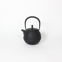 Japanese Nambu Tekki &quot;Egg&quot; Kyusu Tea Pot, Small