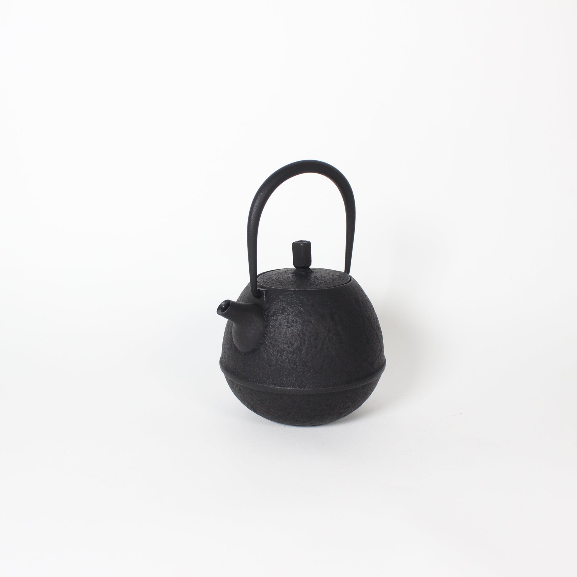 Japanese Nambu Tekki &quot;Egg&quot; Kyusu Tea Pot, Small