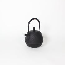 Japanese Nambu Tekki &quot;Egg&quot; Kyusu Tea Pot, Small