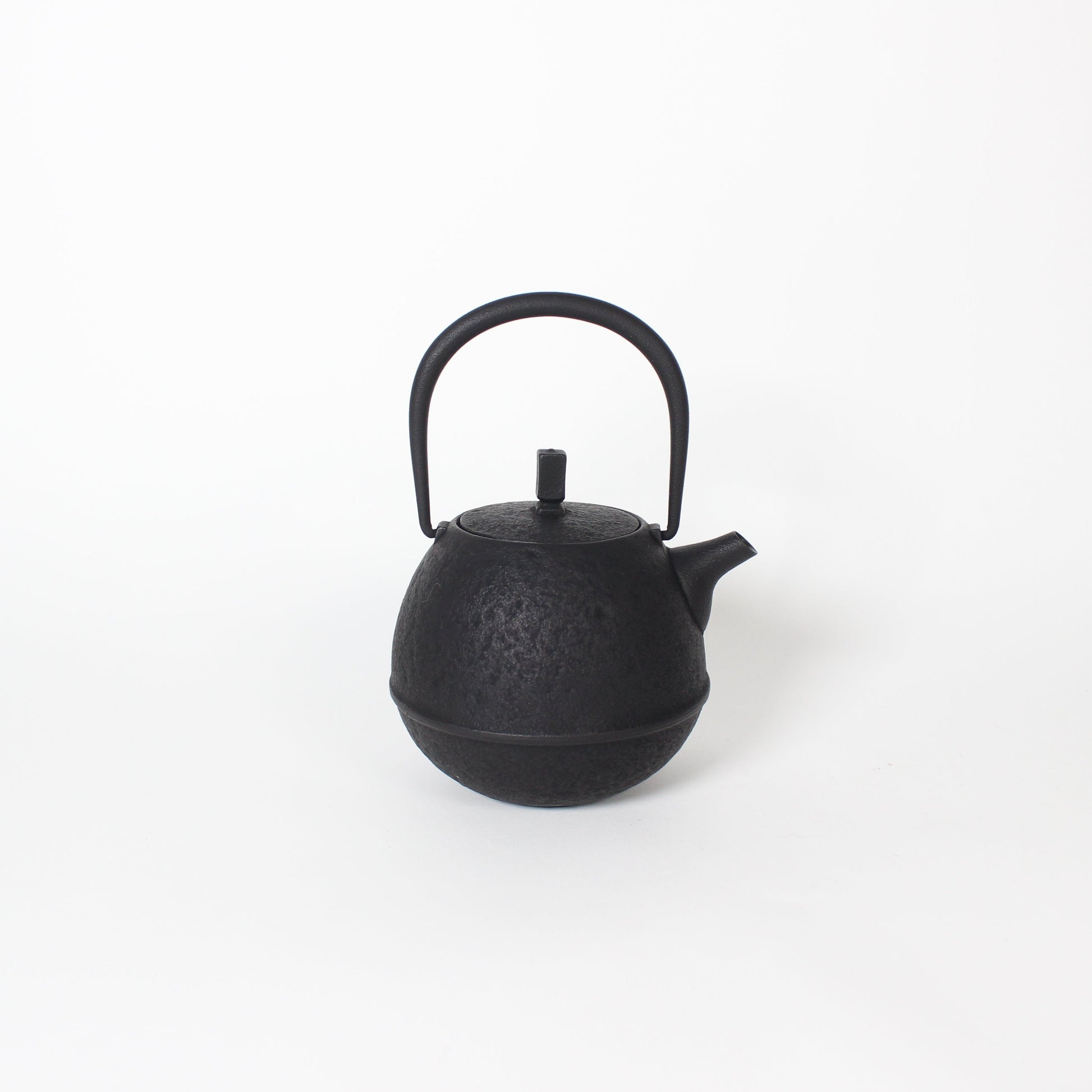 Japanese Nambu Tekki &quot;Egg&quot; Kyusu Tea Pot, Small