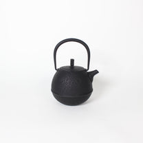Japanese Nambu Tekki &quot;Egg&quot; Kyusu Tea Pot, Small
