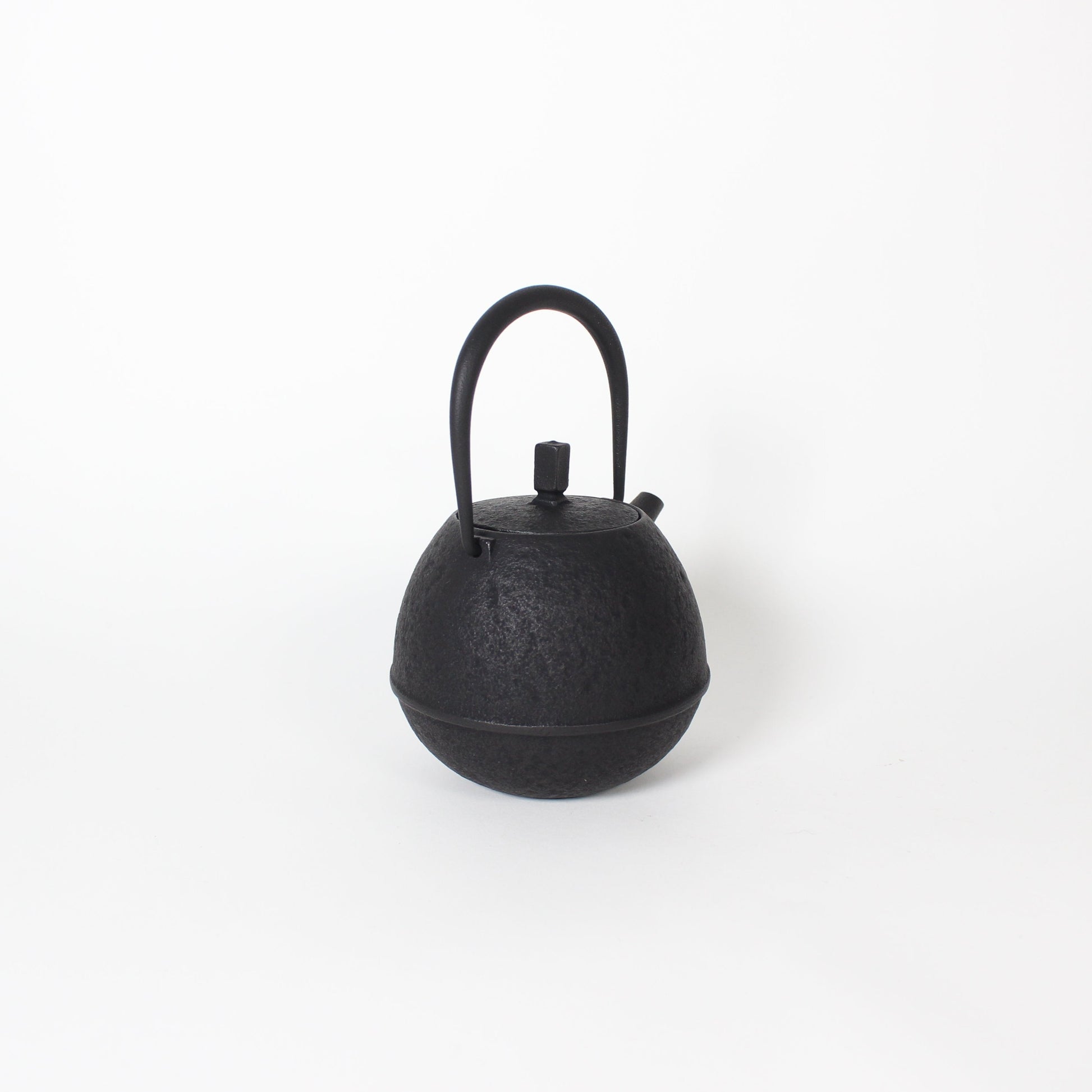 Japanese Nambu Tekki &quot;Egg&quot; Kyusu Tea Pot, Small