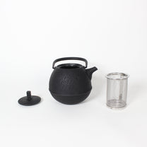 Japanese Nambu Tekki &quot;Egg&quot; Kyusu Tea Pot, Small