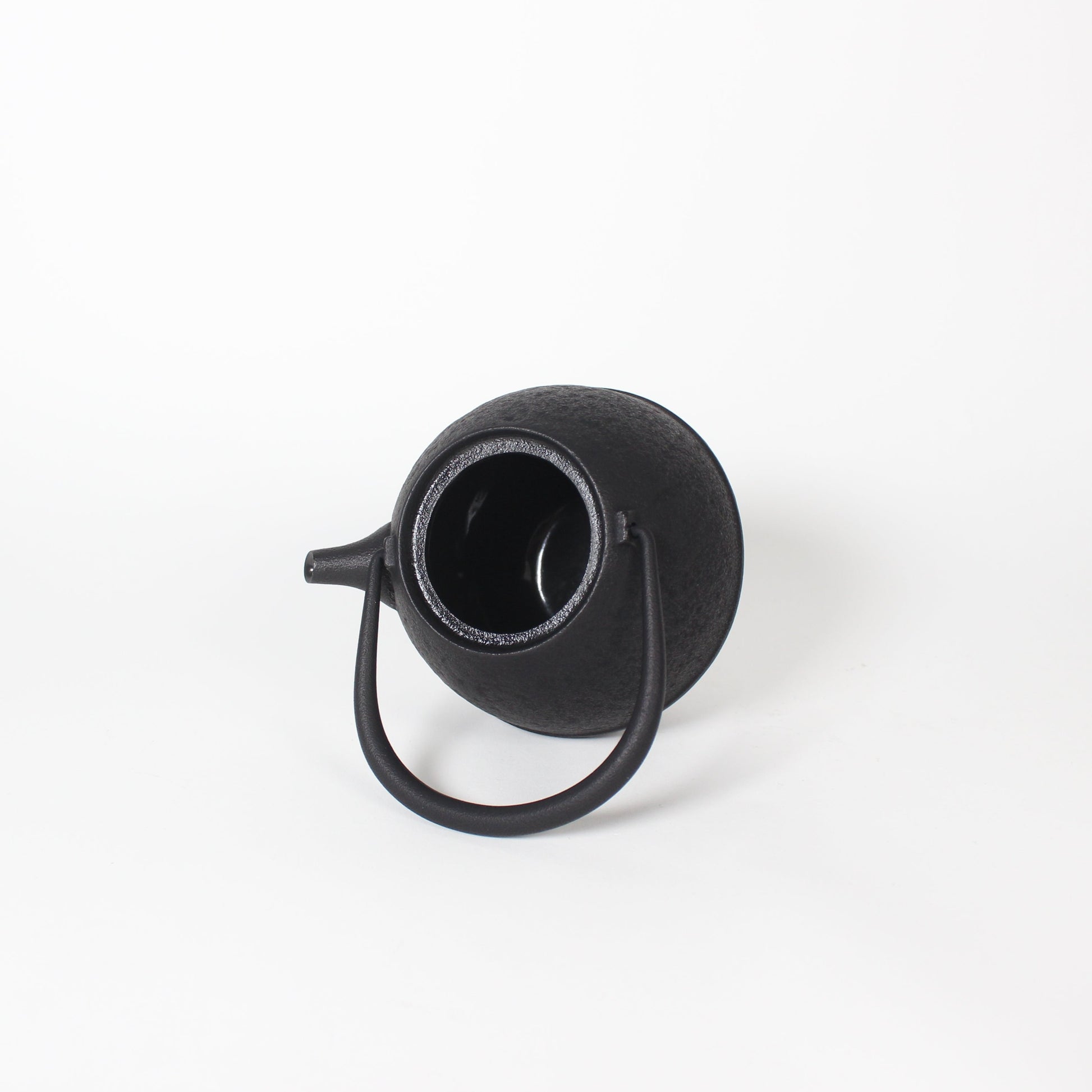 Japanese Nambu Tekki &quot;Egg&quot; Kyusu Tea Pot, Small