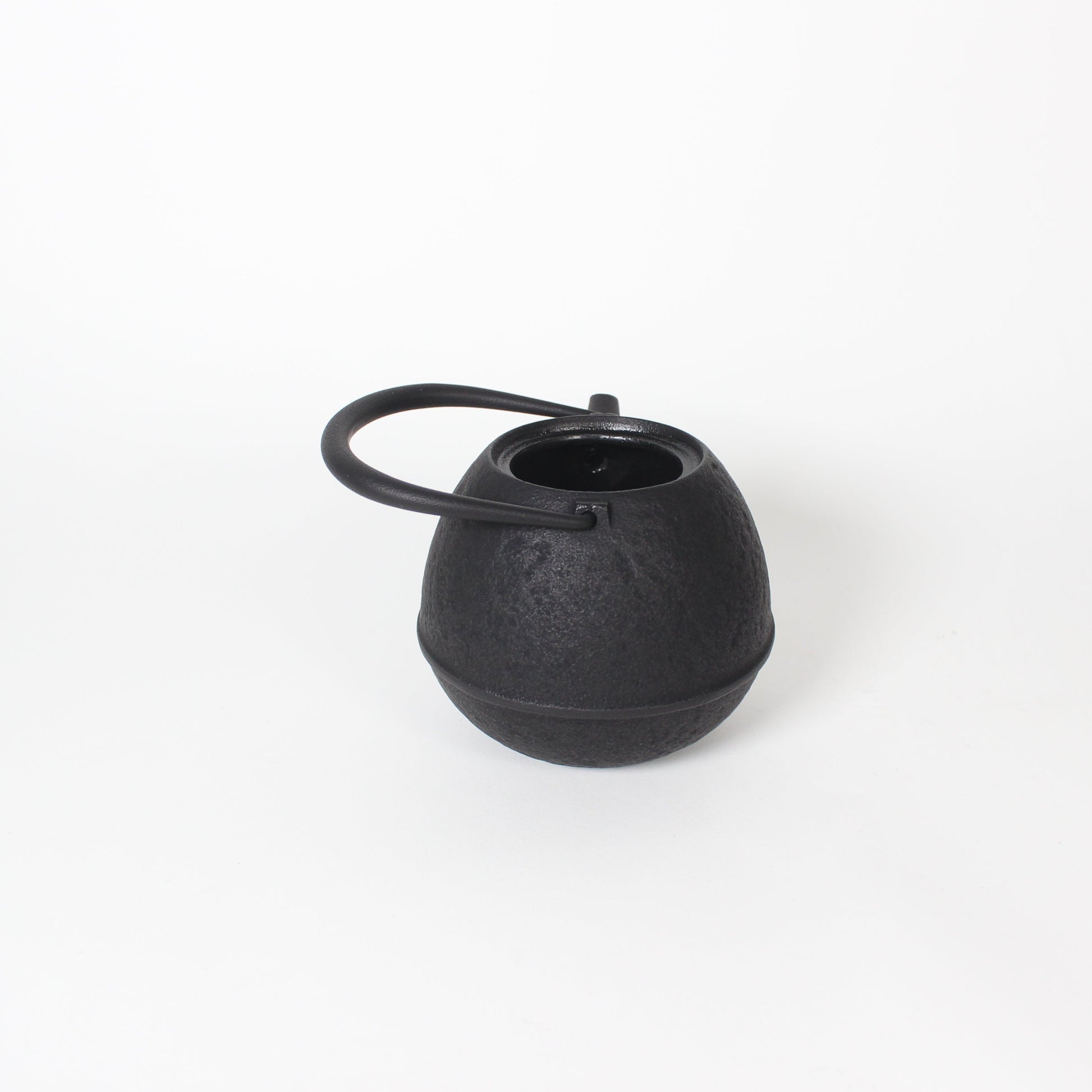 Japanese Nambu Tekki &quot;Egg&quot; Kyusu Tea Pot, Small