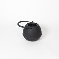 Japanese Nambu Tekki &quot;Egg&quot; Kyusu Tea Pot, Small