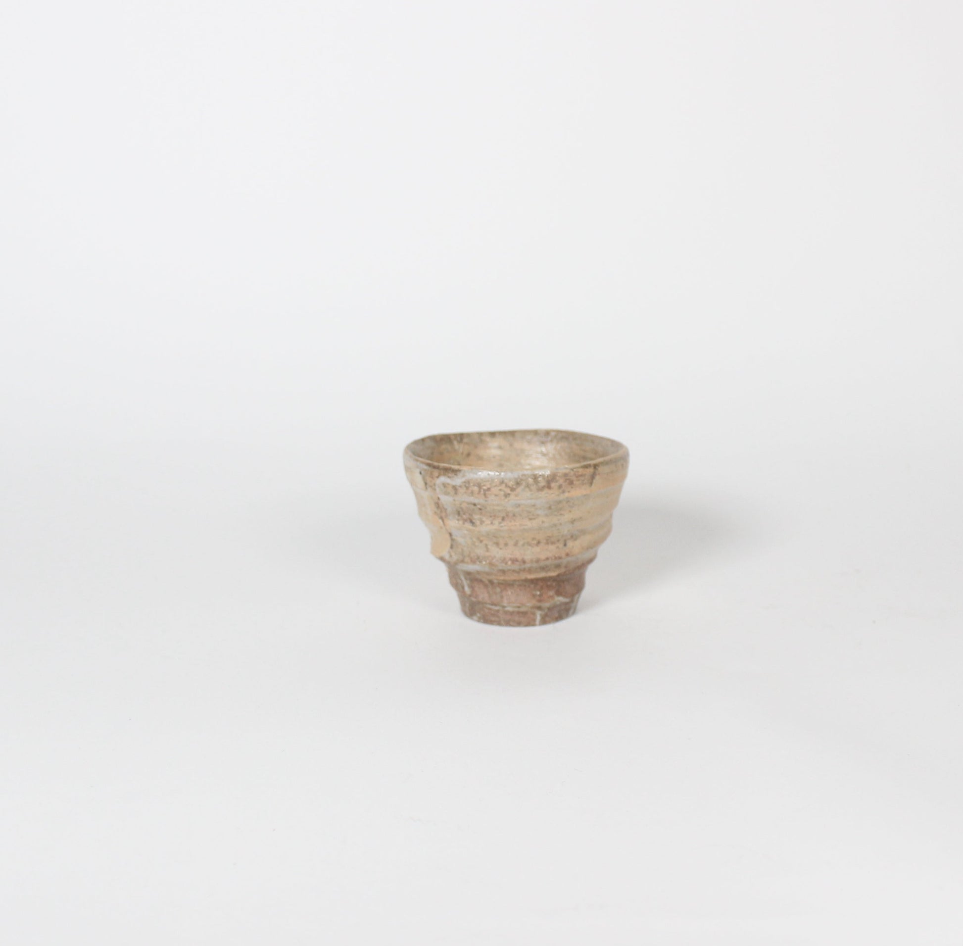Japanese Shigaraki Beige Tea Cup