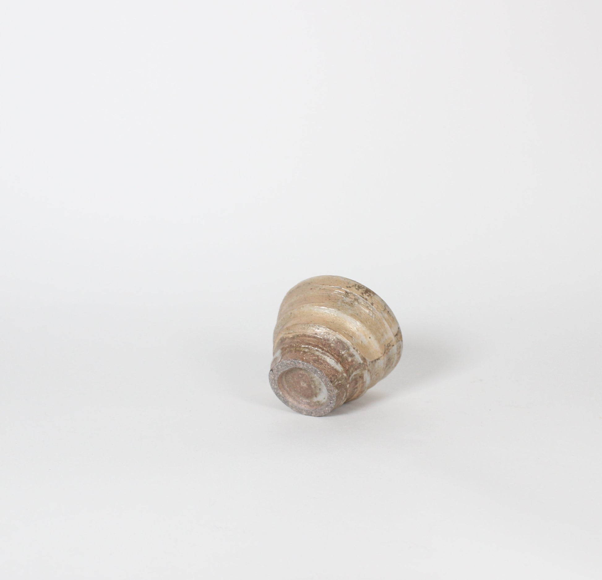 Japanese Shigaraki Beige Tea Cup
