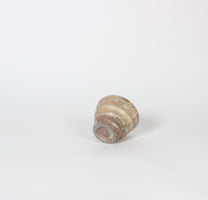 Japanese Shigaraki Beige Tea Cup