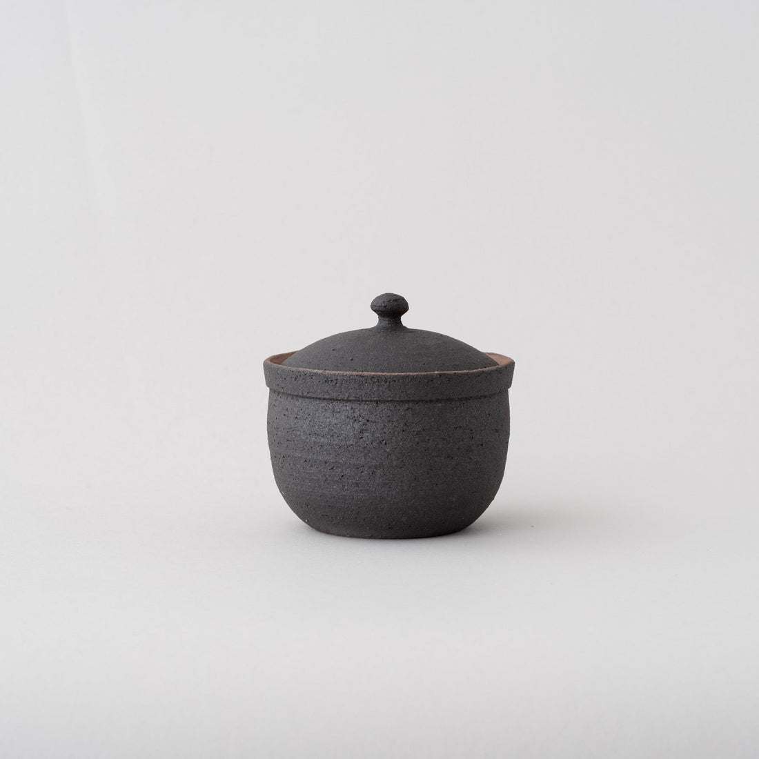 Japanese Shigaraki Ceramic Salt Jar, Large
